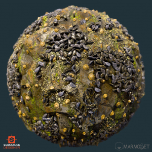 ocean rock with mussels substance material ball